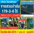 Sell Land, palm trees 178 rai at Tha chang. Near main road, central of Tha chang district.
178.75 rai = 286,000 sqm.