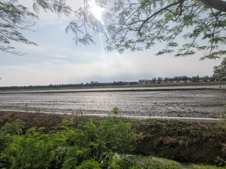 ขาย ที่ดิน หนองจอก สุวินทวงศ์ ติดบ้านเอื้ออาทรสันติสุข 11 ไร่ 1 งาน 56 ตร.วา ใกล้สนามกอล์ฟ the Pine เหมาะทำหมู่บ้าน หรือโกดัง รูปที่ 4