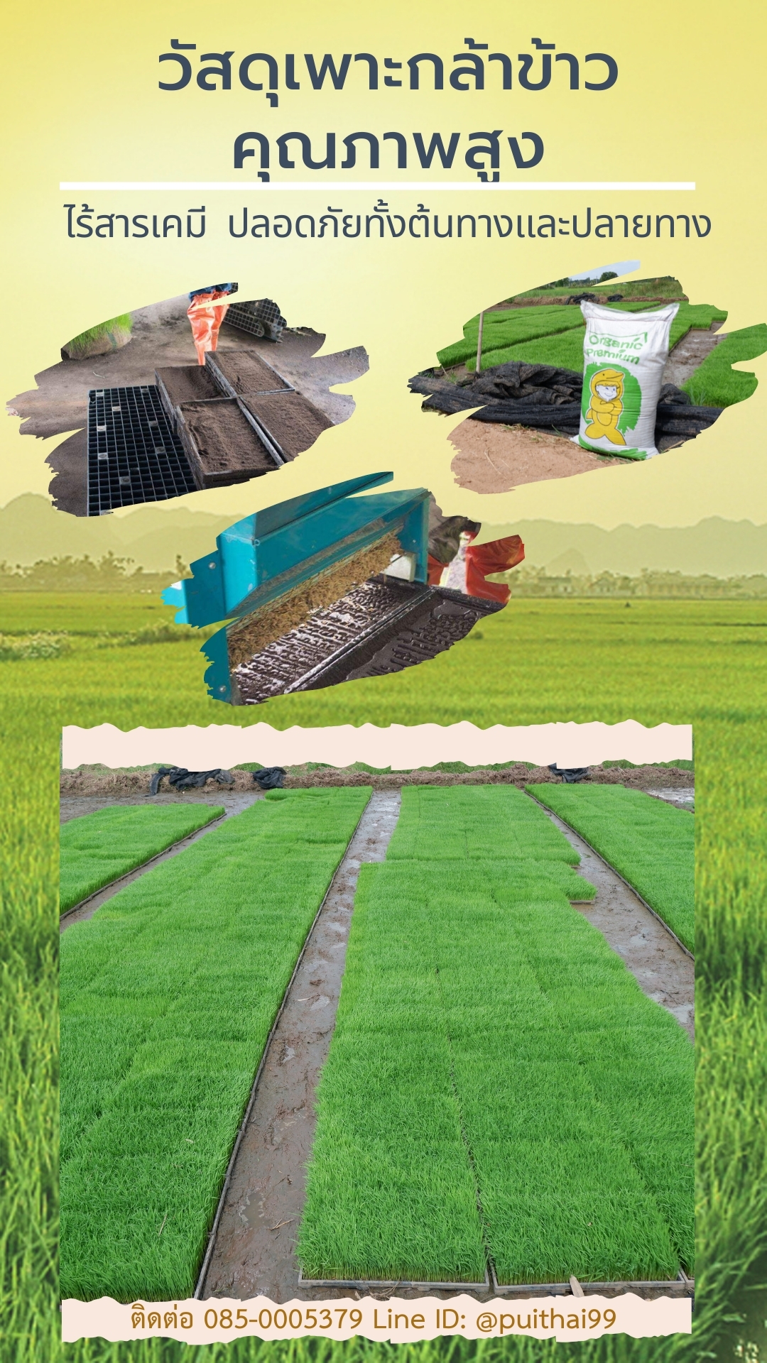 สารปรับปรุงดิน ผลิตจากเปลือกไม้หมักนานนับปี Organic Premium  รูปที่ 6