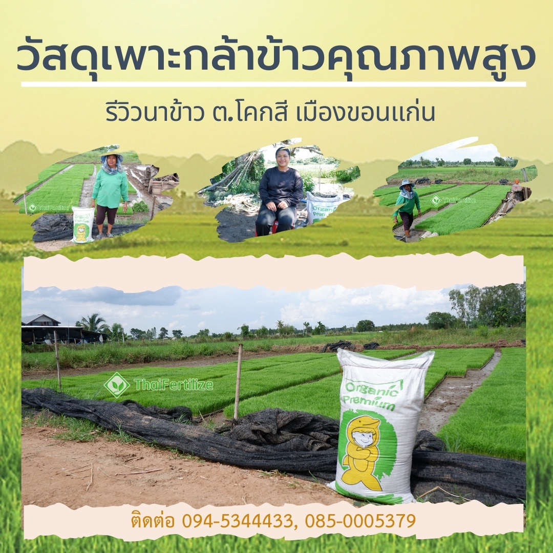 สารปรับปรุงดิน ผลิตจากเปลือกไม้หมักนานนับปี Organic Premium  รูปที่ 4