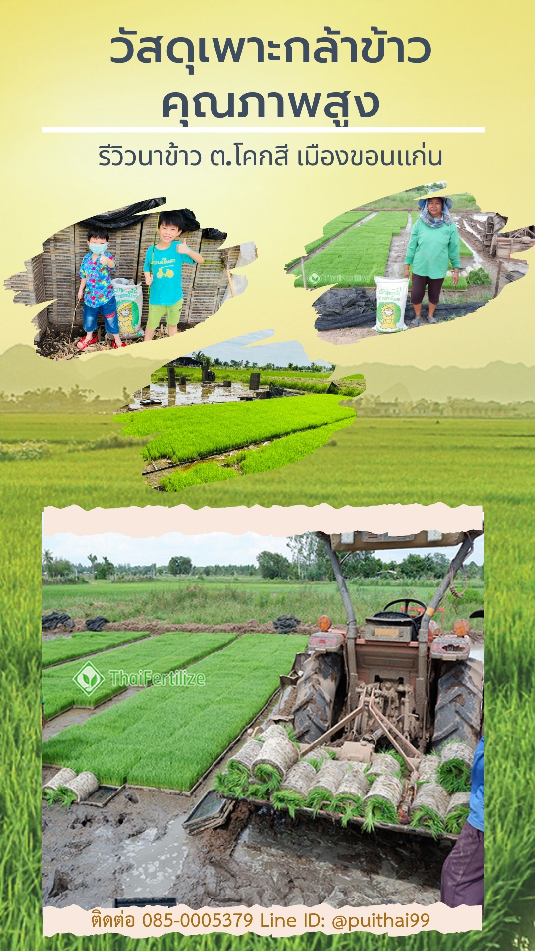 สารปรับปรุงดิน ผลิตจากเปลือกไม้หมักนานนับปี Organic Premium  รูปที่ 7