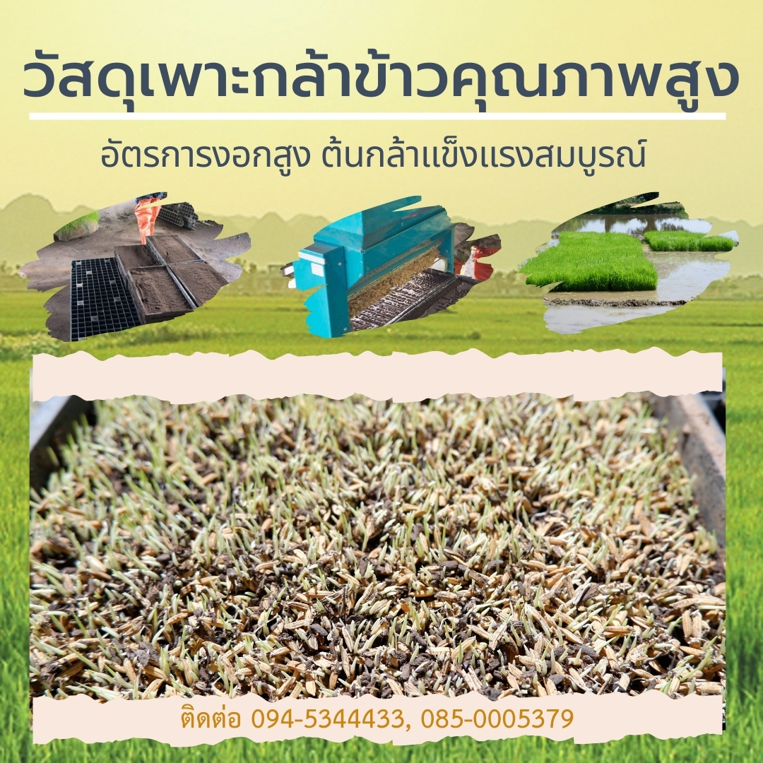 สารปรับปรุงดิน ผลิตจากเปลือกไม้หมักนานนับปี Organic Premium  รูปที่ 3