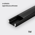 รางไฟเส้นอลูมิเนียมติดลอยสีดำ รุ่น Black series  ความยาว 1 M   