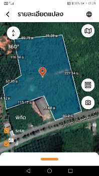 ขาย ที่ดิน ติดถนนสุราษฎร์ธานี-นครศรีธรรมราช 21 ไร่ 2 งาน 75 ตร.วา อ.กาญจนดิษฐ์ สุราษฎร์ธานี รูปที่ 4