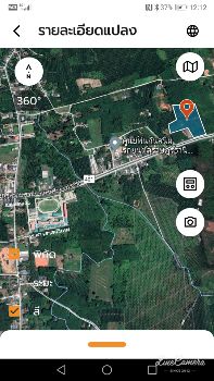 ขาย ที่ดิน ติดถนนสุราษฎร์ธานี-นครศรีธรรมราช 21 ไร่ 2 งาน 75 ตร.วา อ.กาญจนดิษฐ์ สุราษฎร์ธานี รูปที่ 5