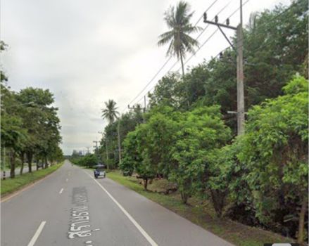 ขาย ที่ดิน ติดถนนสุราษฎร์ธานี-นครศรีธรรมราช 21 ไร่ 2 งาน 75 ตร.วา อ.กาญจนดิษฐ์ สุราษฎร์ธานี รูปที่ 3