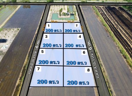 ขาย ที่ดิน แปลงเกษตรแบ่งล็อกละ 200 ตร.วคลองเก้า 200 ตร.วา บรรยากาศทุ่งนา ใกล้เขตปริมลฑลเดินทางไม่ถึง 1 ชั่วโมง รูปที่ 1