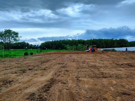 ขาย ที่ดิน แบ่งแปลงขาย ทำเลดีThe Valley เขากระทิง 6 ไร่ 1 งาน 52 ตร.วา บรรยากาศวิวเขากระทิง-เขาใหญ่ รูปที่ 5