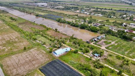 ขาย ที่ดิน โฉนดครุฆแดงพร้อมโอน ฟรีค่าโอนคลองสาม 186 ตร.วา ใกล้ถนนมอเตอร์เวย์หมายเลข 9 รูปที่ 5