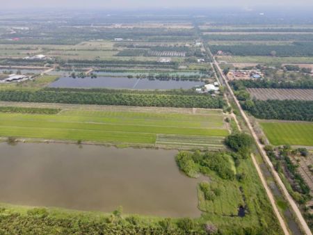 ขาย ที่ดิน โฉนดครุฑแดงคลอง 8 1 ไร่ 3 งาน 71 ตร.วา ทำเลดี มีอนาคต รูปที่ 2