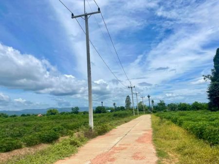 ขาย ที่ดิน ทำเลสวย วิวภูเขา ดินดีด่านมะขามเตี้ย 1 ไร่ มีน้ำ มีไฟ พร้อมใช้ ใกล้แหล่งชุมชน รูปที่ 6