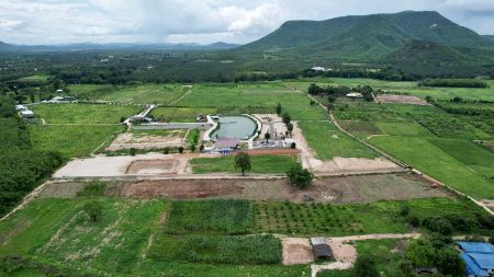 ขาย ที่ดิน แบ่งแปลงขาย ทำเลดีThe Valley เขากระทิง 6 ไร่ 1 งาน 52 ตร.วา บรรยากาศวิวเขากระทิง-เขาใหญ่ รูปที่ 9