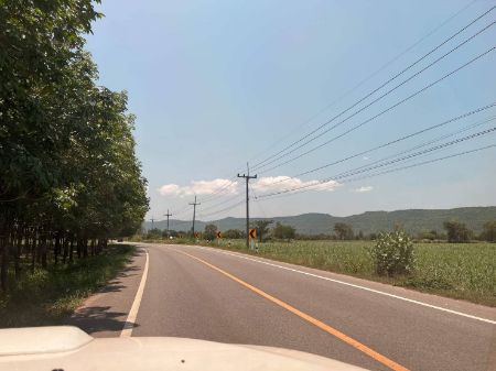 ขาย ที่ดิน โฉนดครุฑแดงชุมแพ 10 ไร่ ห่างถนนลาดยาง 100 เมตร ติดถนน2ด้าน รูปที่ 2