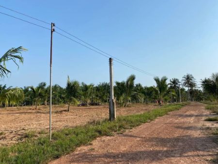 ขาย ที่ดิน ติดวิวเขาลูกใหญ่ มีน้ำและไฟฟ้าให้พร้อมแปลงสวนมะพร้าว 220 ตร.วา โฉนดครุฑแดง ฟรีค่าใช้จ่ายวันโอนทั้งหมด รูปที่ 2