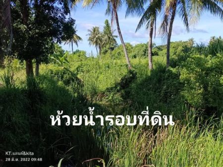 ขาย ที่ดิน ทำเลดี มีอนาคตชะอำ 8 ไร่ 3 งาน 72 ตร.วา มีน้ำล้อมรอบที่ดิน อุดมสมบูรณ์ เหมาะแก่การปลูกบ้านสวน รูปที่ 2