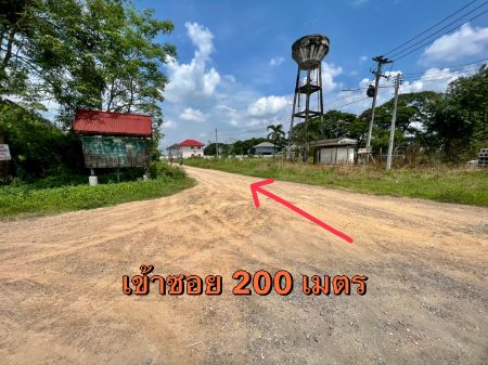 ขาย ที่ดิน โฉนดครุฆแดงพร้อมโอน ฟรีค่าโอนคลองสาม 186 ตร.วา ใกล้ถนนมอเตอร์เวย์หมายเลข 9 รูปที่ 8