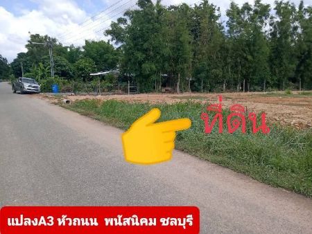 ขาย ที่ดิน โฉนดพร้อมโอน น้ำไฟพร้อมพนัสนิคม 100 ตร.วา ถมแล้วพร้อมปลูก  ติดถนนสาธารณะเป็นหินคลุก รูปที่ 2