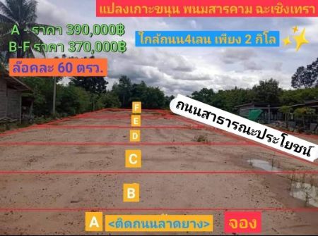 ขาย ที่ดิน ทำเลทอง ใกล้แหล่งความเจริญพนมสารคาม 60 ตร.วา ถมแล้ว  ติดถนนราดยางดำ  น้ำไฟพร้อม รูปที่ 1