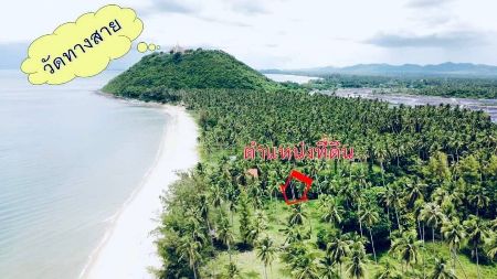 ขาย ที่ดิน โฉนดครุฑแดง น้ำไฟพร้อมบางสะพาน 1 ไร่ 2 งาน 80 ตร.วา ที่ดินมังกร หน้าติดทะเล หลังมีภูเขา รูปที่ 5