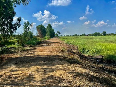 ขาย ที่ดิน แปลงเกษตรไว้ทำบ้านสวนโคกหนองนาโมเดล 1 ไร่ ห่างน้ำไฟประมาณ 600 M. รูปที่ 5