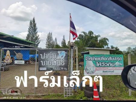 ขาย ที่ดิน ทำเลดี มีอนาคตชะอำ 8 ไร่ 3 งาน 72 ตร.วา มีน้ำล้อมรอบที่ดิน อุดมสมบูรณ์ เหมาะแก่การปลูกบ้านสวน รูปที่ 4