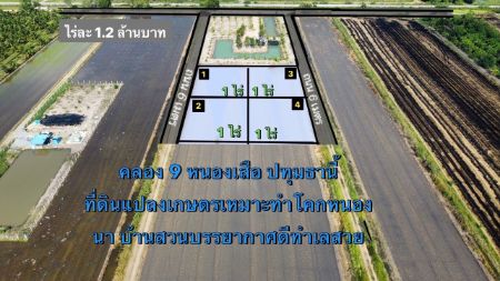 ขาย ที่ดิน แปลงเกษตรโคกหนองนาคลอง 9 1 ไร่ ทำเลดี บรรยากาศทุ่งนา รูปที่ 2