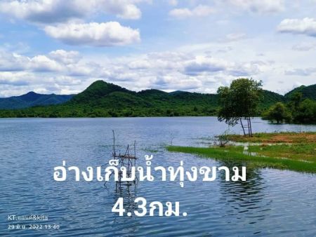 ขาย ที่ดิน ทำเลดี มีอนาคตชะอำ 8 ไร่ 3 งาน 72 ตร.วา มีน้ำล้อมรอบที่ดิน อุดมสมบูรณ์ เหมาะแก่การปลูกบ้านสวน รูปที่ 3