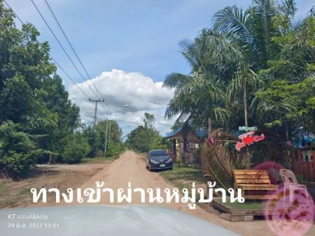 ขาย ที่ดิน ทำเลดี มีอนาคตชะอำ 8 ไร่ 3 งาน 72 ตร.วา มีน้ำล้อมรอบที่ดิน อุดมสมบูรณ์ เหมาะแก่การปลูกบ้านสวน รูปที่ 5