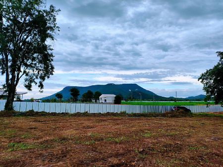 ขาย ที่ดิน แบ่งแปลงขาย ทำเลดีThe Valley เขากระทิง 6 ไร่ 1 งาน 52 ตร.วา บรรยากาศวิวเขากระทิง-เขาใหญ่ รูปที่ 4