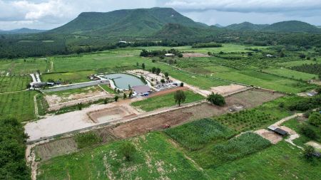 ขาย ที่ดิน แบ่งแปลงขาย ทำเลดีThe Valley เขากระทิง 6 ไร่ 1 งาน 52 ตร.วา บรรยากาศวิวเขากระทิง-เขาใหญ่ รูปที่ 10
