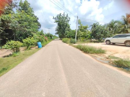 ขาย ที่ดิน ทำเลทอง ใกล้แหล่งความเจริญพนมสารคาม 60 ตร.วา ถมแล้ว  ติดถนนราดยางดำ  น้ำไฟพร้อม รูปที่ 3