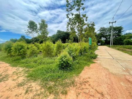 ขาย ที่ดิน ทำเลสวย วิวภูเขา ดินดีด่านมะขามเตี้ย 1 ไร่ มีน้ำ มีไฟ พร้อมใช้ ใกล้แหล่งชุมชน รูปที่ 5