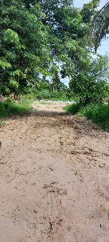 ขาย ที่ดิน โฉนดครุฑแดง นส 4จส พร้อมโอนหัวหิน 1 ไร่ ติดถนนสารธาณะ2ด้าน เป็นลูกรัง รูปที่ 3