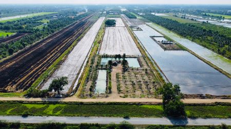 ขาย ที่ดิน แปลงเกษตรโคกหนองนาคลอง 9 1 ไร่ ทำเลดี บรรยากาศทุ่งนา รูปที่ 4