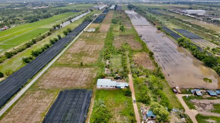ขาย ที่ดิน โฉนดครุฆแดงพร้อมโอน ฟรีค่าโอนคลองสาม 186 ตร.วา ใกล้ถนนมอเตอร์เวย์หมายเลข 9 รูปที่ 6