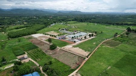 ขาย ที่ดิน แบ่งแปลงขาย ทำเลดีThe Valley เขากระทิง 6 ไร่ 1 งาน 52 ตร.วา บรรยากาศวิวเขากระทิง-เขาใหญ่ รูปที่ 8