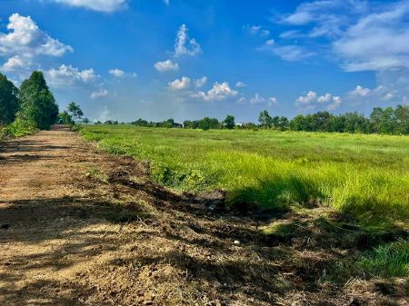 ขาย ที่ดิน แปลงเกษตรไว้ทำบ้านสวนโคกหนองนาโมเดล 1 ไร่ ห่างน้ำไฟประมาณ 600 M. รูปที่ 6