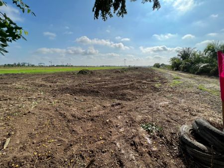 ขาย ที่ดิน แบ่งแปลงราคาถูกคลอง 8 200 ตร.วา ทำเลดี มีอนาคต รูปที่ 5