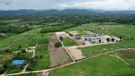 ขาย ที่ดิน แบ่งแปลงขาย ทำเลดีThe Valley เขากระทิง 6 ไร่ 1 งาน 52 ตร.วา บรรยากาศวิวเขากระทิง-เขาใหญ่ รูปที่ 7