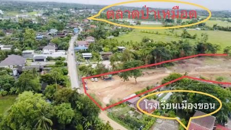 ขาย ที่ดิน ฟรีโอนกรรมสิทธิ์สันทราย บ้านเมืองขอน 60 ตร.วา ที่ดินแบ่งขายติดถนนใหญ่ สาธารณูปโภคครบครัน รูปที่ 3