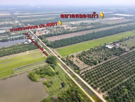 ขาย ที่ดิน โฉนดครุฑแดงคลอง 8 1 ไร่ 3 งาน 71 ตร.วา ทำเลดี มีอนาคต รูปที่ 4