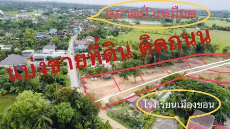 ขาย ที่ดิน ฟรีโอนกรรมสิทธิ์สันทราย บ้านเมืองขอน 60 ตร.วา ที่ดินแบ่งขายติดถนนใหญ่ สาธารณูปโภคครบครัน รูปที่ 2
