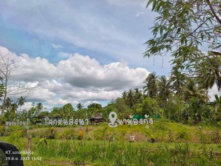 ขาย ที่ดิน ทำเลดี มีอนาคตชะอำ 8 ไร่ 3 งาน 72 ตร.วา มีน้ำล้อมรอบที่ดิน อุดมสมบูรณ์ เหมาะแก่การปลูกบ้านสวน รูปที่ 6