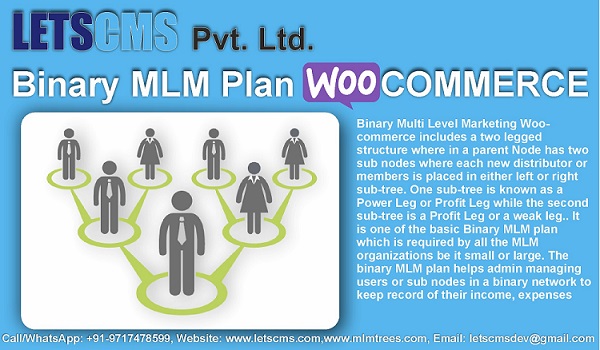 Binary MLM Income Calculation Formula & Strategy | Binary WooCommerce Cheapest Price UK รูปที่ 1