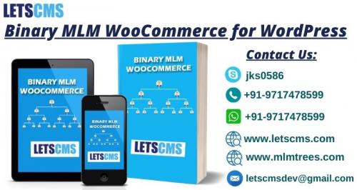 Binary MLM Plan - About Binary MLM Business Strategy & WooCommerce WordPress รูปที่ 1