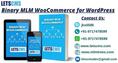 Binary MLM Plan - About Binary MLM Business Strategy & WooCommerce WordPress