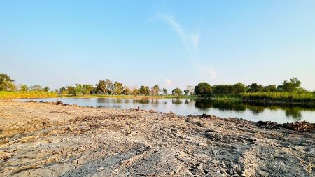 ขาย ที่ดิน วิวสวย ฟรีโอนติดสนามกอล์ฟสุวรรณภูมิ 2 งาน 11.5 ตร.วา หน้าแปลงติดถนนคอนกรีต ท้ายแปลงติดเลคทะเลสาบ รูปที่ 3