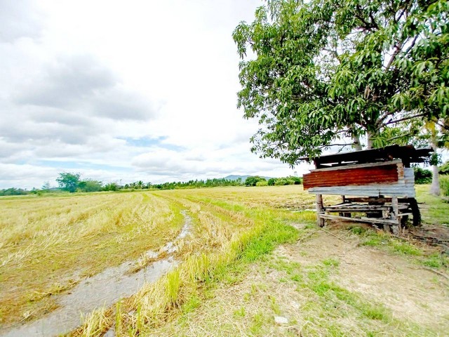 ขายที่ดินติดถนนลาดยาง เมืองกาญจนบุรี 9 ไร่ เป็นที่นา วิวดี มองเห็นวิวภูเขา ใกล้แหล่งชุมชน  รูปที่ 1