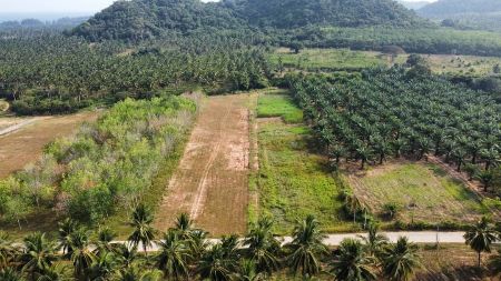 ขาย ที่ดิน ติดวิวเขาลูกใหญ่แปลงคลองห้วยทราย 200 ตร.วา โฉนดครุฑสีแดงพร้อมโอน มีน้ำและไฟฟ้าให้พร้อม รูปที่ 2