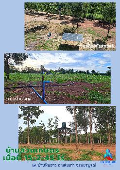 ขาย ที่ดิน บ้านหินฮาว 15 ไร่ 2 งาน 45 ตร.วา อากาศดีทั้งปี น้ำไม่ท่วม วิวเขาค้อ ภูทับเบิก ภูลมโล ล้อมรอบ รูปที่ 8